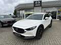 Mazda CX-30 L SKYACTIV-G 2.0 150PS M HYBRID AWD 6GS AL-SELECTI Blanco - thumbnail 1