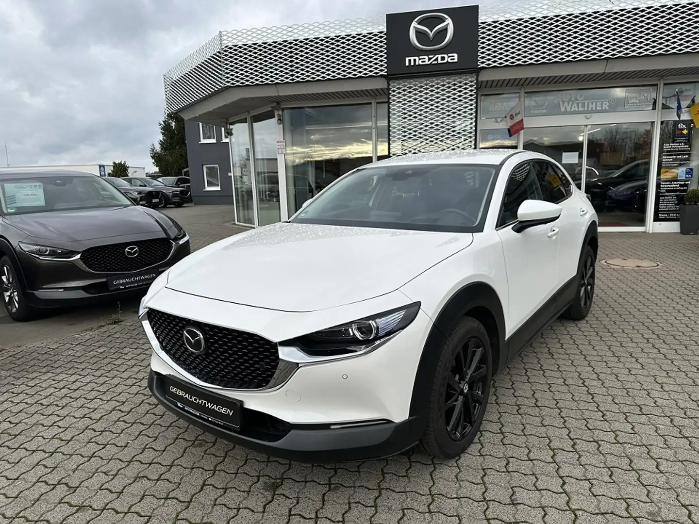 Mazda CX-30 L SKYACTIV-G 2.0 150PS M HYBRID AWD 6GS AL-SELECTI Bianco - 1