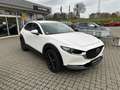 Mazda CX-30 L SKYACTIV-G 2.0 150PS M HYBRID AWD 6GS AL-SELECTI Blanc - thumbnail 3
