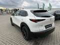 Mazda CX-30 L SKYACTIV-G 2.0 150PS M HYBRID AWD 6GS AL-SELECTI Blanc - thumbnail 11