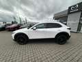 Mazda CX-30 L SKYACTIV-G 2.0 150PS M HYBRID AWD 6GS AL-SELECTI Blanc - thumbnail 9