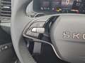 Skoda Karoq 1.5 TSI DSG Selection AHK Bolero Kamera Grau - thumbnail 14