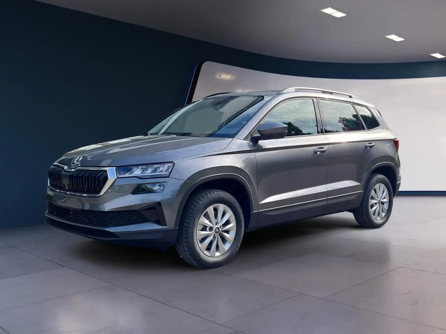 Skoda Karoq 1.5 TSI DSG Selection AHK Bolero Kamera Grau - 1