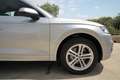 Audi Q5 40 tdi S line Plus quattro 190cv s-tronic |2019 Argent - thumbnail 22