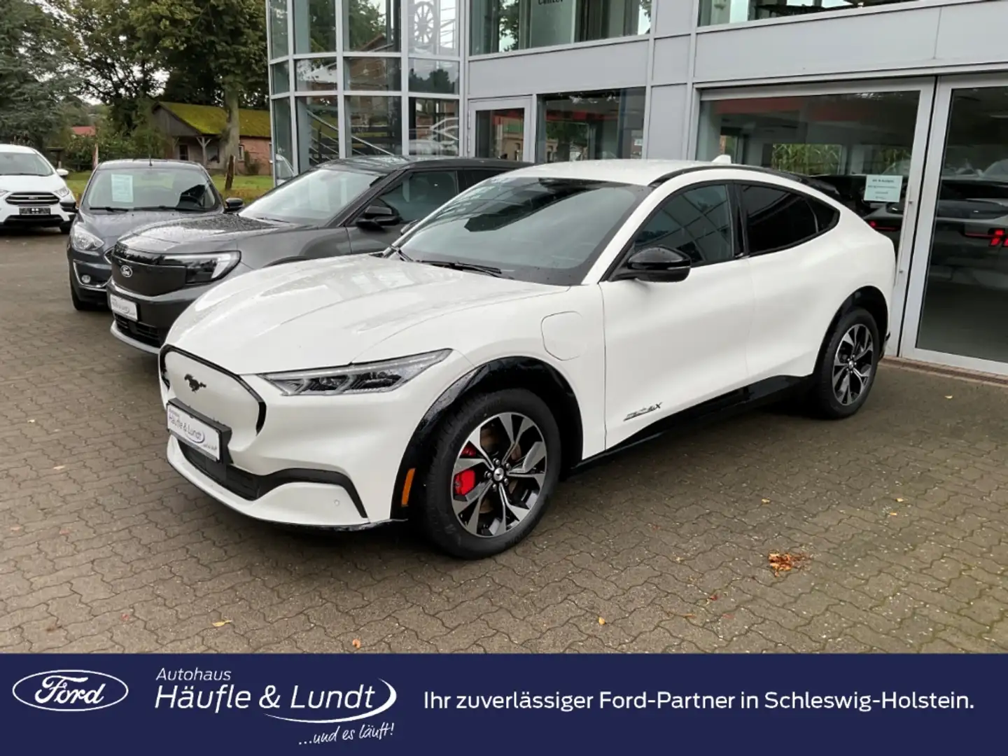 Ford Mustang Mach-E Premium Allrad ACC LED Rückfahrkam. Weiß - 1