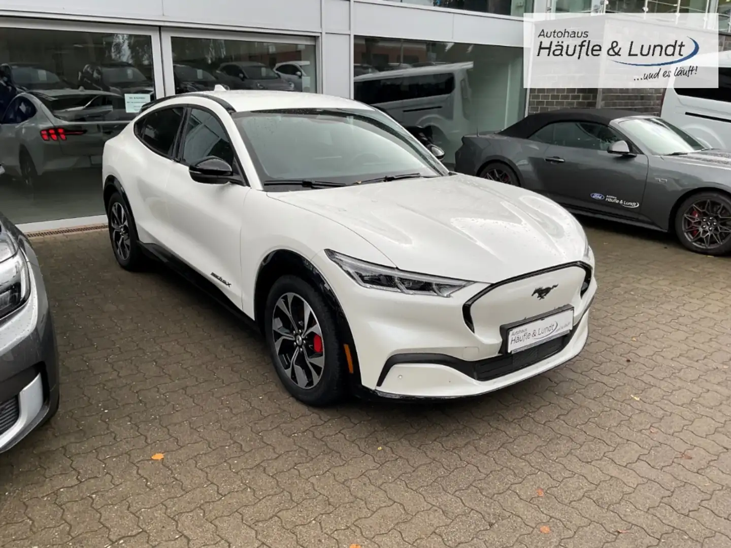 Ford Mustang Mach-E Premium Allrad ACC LED Rückfahrkam. Weiß - 2