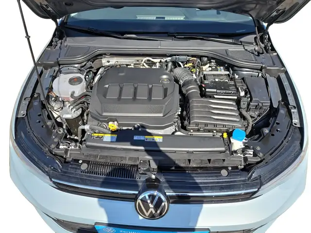 Volkswagen Golf view 12