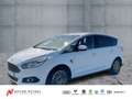 Ford S-Max Titanium 2.0TDCI Aut. NAV+TEMPOMAT+PDC+SHZ Weiß - thumbnail 1