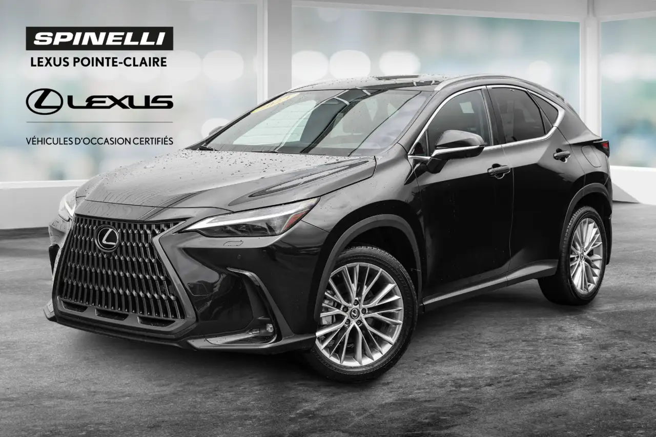 2024 Lexus NX