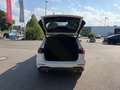 Mercedes-Benz B 180 d Progressive AHK AUT Kam. KeyLess KlimaA Weiß - thumbnail 22