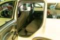 Fiat Panda 1.0 GSE 70PS E6 Pandina Blanc - thumbnail 11