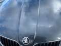 Skoda Fabia 1.2Tsi SHZ 6-Gang Grau - thumbnail 36