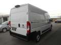 Fiat Ducato Ducato 30 L2H2 140 Weiß - thumbnail 5