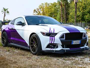 Mustang VI 2015 Fastback 2.3 ecoboost 317cv auto