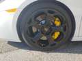 Lamborghini Gallardo Gallardo Spider Spider 5.0 520 e-gear Bianco - thumbnail 6