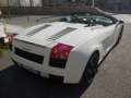 Lamborghini Gallardo Gallardo Spider Spider 5.0 520 e-gear Blanc - thumbnail 19