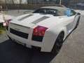 Lamborghini Gallardo Gallardo Spider Spider 5.0 520 e-gear Bianco - thumbnail 5