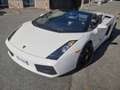 Lamborghini Gallardo Gallardo Spider Spider 5.0 520 e-gear Bianco - thumbnail 1