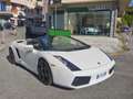 Lamborghini Gallardo Gallardo Spider Spider 5.0 520 e-gear Bianco - thumbnail 3