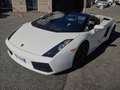 Lamborghini Gallardo Gallardo Spider Spider 5.0 520 e-gear Blanc - thumbnail 16