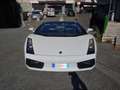 Lamborghini Gallardo Gallardo Spider Spider 5.0 520 e-gear Bianco - thumbnail 2