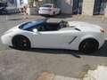 Lamborghini Gallardo Gallardo Spider Spider 5.0 520 e-gear Bianco - thumbnail 4