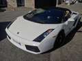 Lamborghini Gallardo Gallardo Spider Spider 5.0 520 e-gear Blanc - thumbnail 21