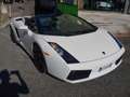 Lamborghini Gallardo Gallardo Spider Spider 5.0 520 e-gear Blanc - thumbnail 18
