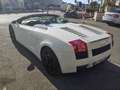 Lamborghini Gallardo Gallardo Spider Spider 5.0 520 e-gear Blanc - thumbnail 17