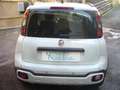 Fiat Panda Cross Pandina 1.0 FireFly Hybrid 5P Nuovo Modell Wit - thumbnail 12