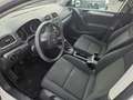 Volkswagen Golf 1.4 5p. United Bianco - thumbnail 12