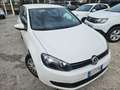 Volkswagen Golf 1.4 5p. United Bianco - thumbnail 3