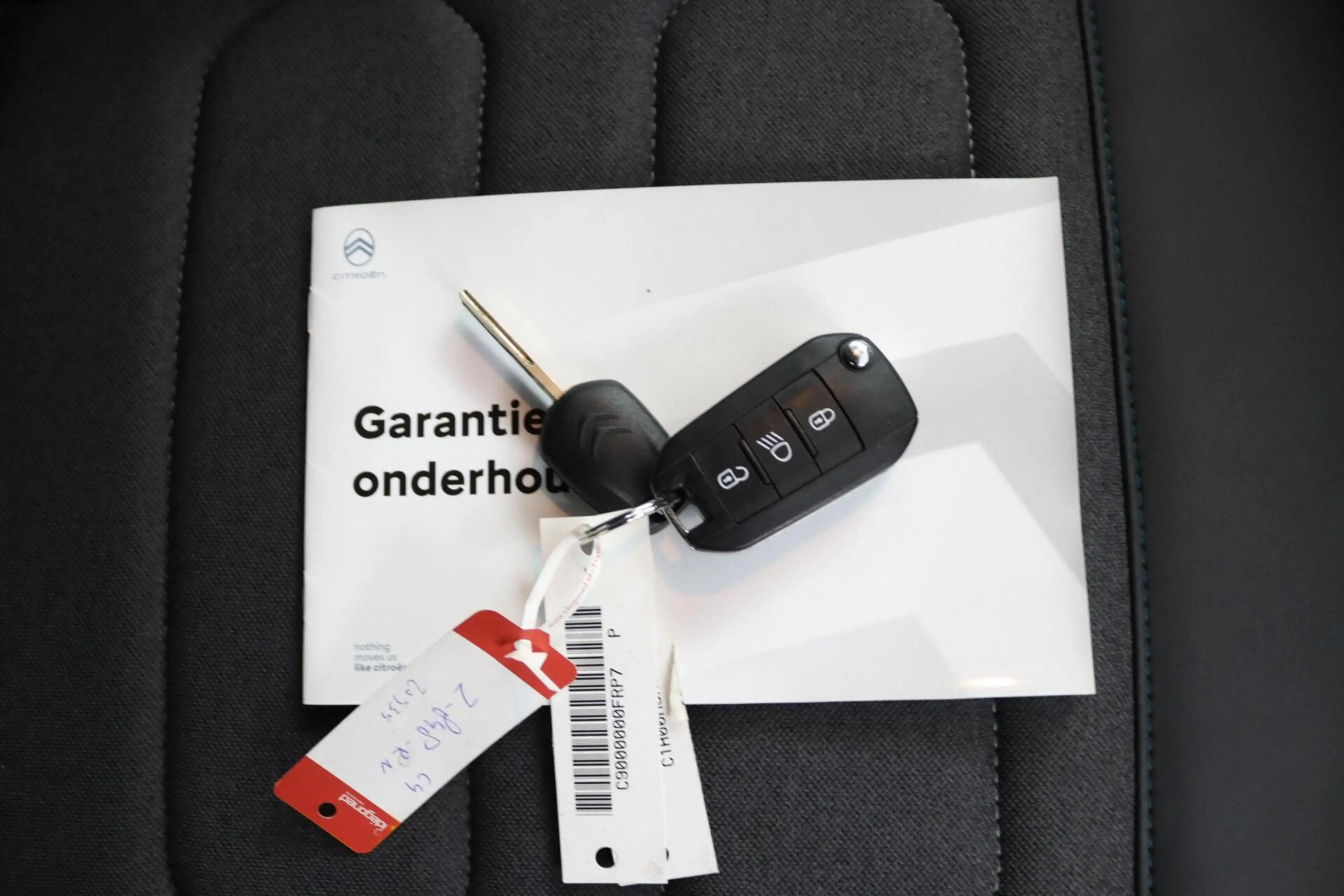 Citroen E-C4 Electric You 50 kWh — photo 37