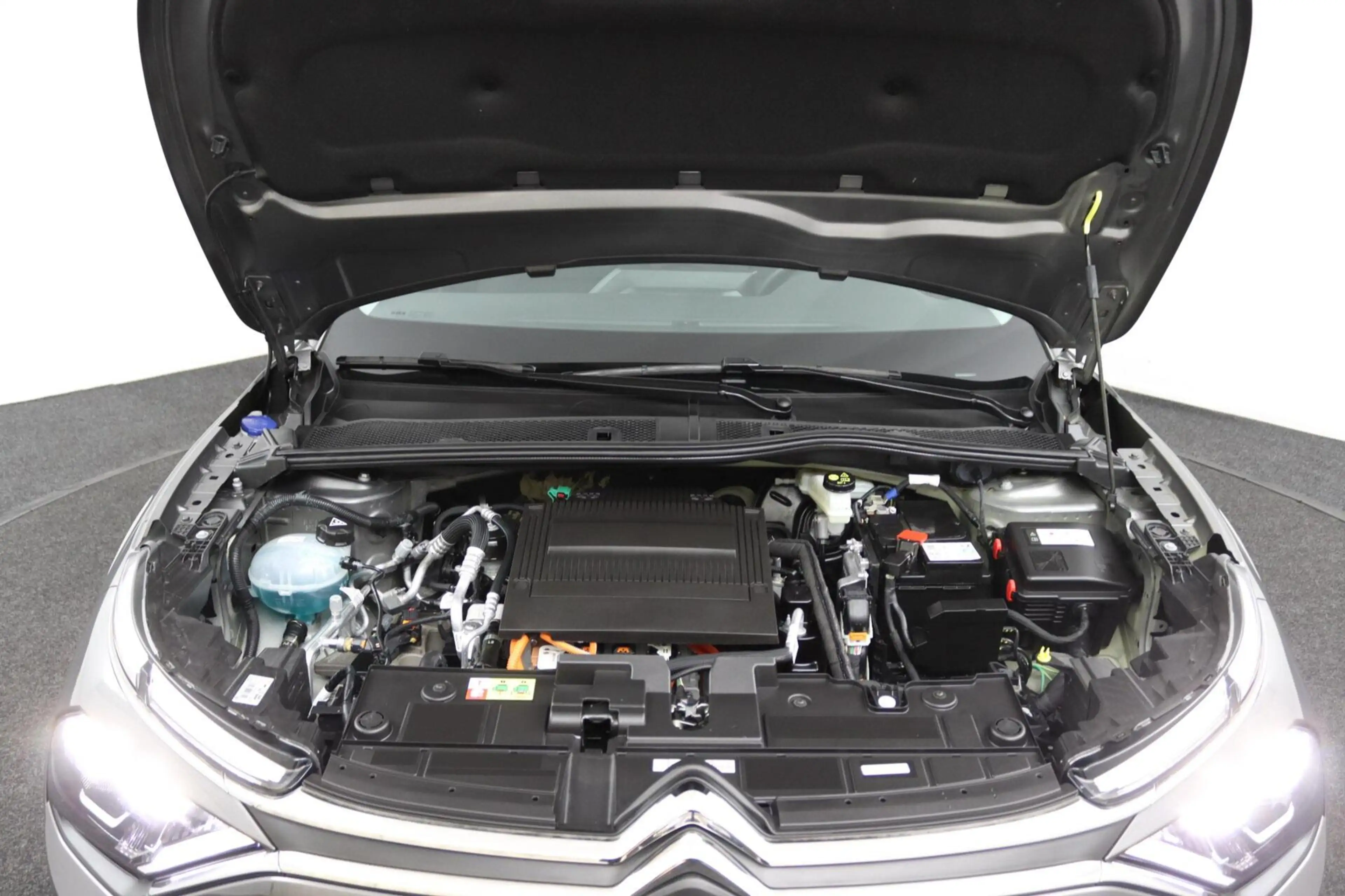 Citroen E-C4 Electric You 50 kWh — photo 22