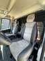 Renault Master Master 2.0 TD 170 CV HARAS ALLESTIMENTO STALLONI Bianco - thumbnail 4