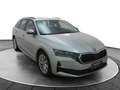 Skoda Octavia Octavia 2.0 TDI 150 CV DSG Wagon Executive Argento - thumbnail 1