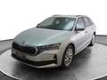Skoda Octavia Octavia 2.0 TDI 150 CV DSG Wagon Executive Argento - thumbnail 3