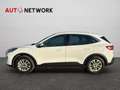 Ford Kuga 2.5 Plug In Hybrid 225 CV CVT 2WD Titanium Busines Blanc - thumbnail 7