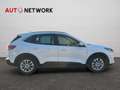Ford Kuga 2.5 Plug In Hybrid 225 CV CVT 2WD Titanium Busines Blanc - thumbnail 8