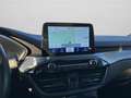 Ford Kuga 2.5 Plug In Hybrid 225 CV CVT 2WD Titanium Busines Blanc - thumbnail 12