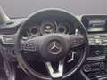 Mercedes-Benz CLS 350 BlueTEC / d 4Matic,Privat.. Schwarz - thumbnail 10
