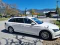 Skoda Superb Superb Kombi 2,0 TDI Style DSG Weiß - thumbnail 1