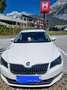 Skoda Superb Superb Kombi 2,0 TDI Style DSG Weiß - thumbnail 3