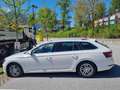 Skoda Superb Superb Kombi 2,0 TDI Style DSG Weiß - thumbnail 2