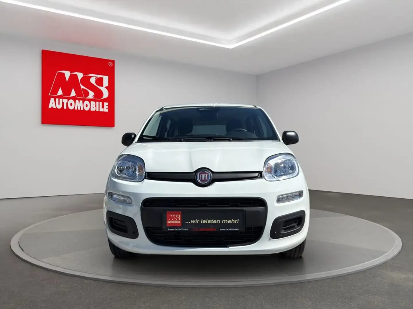 Fiat Panda Aktionsmodell Neuwagen !! Bianco - 2