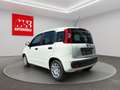 Fiat Panda Aktionsmodell Neuwagen !! Wit - thumbnail 5