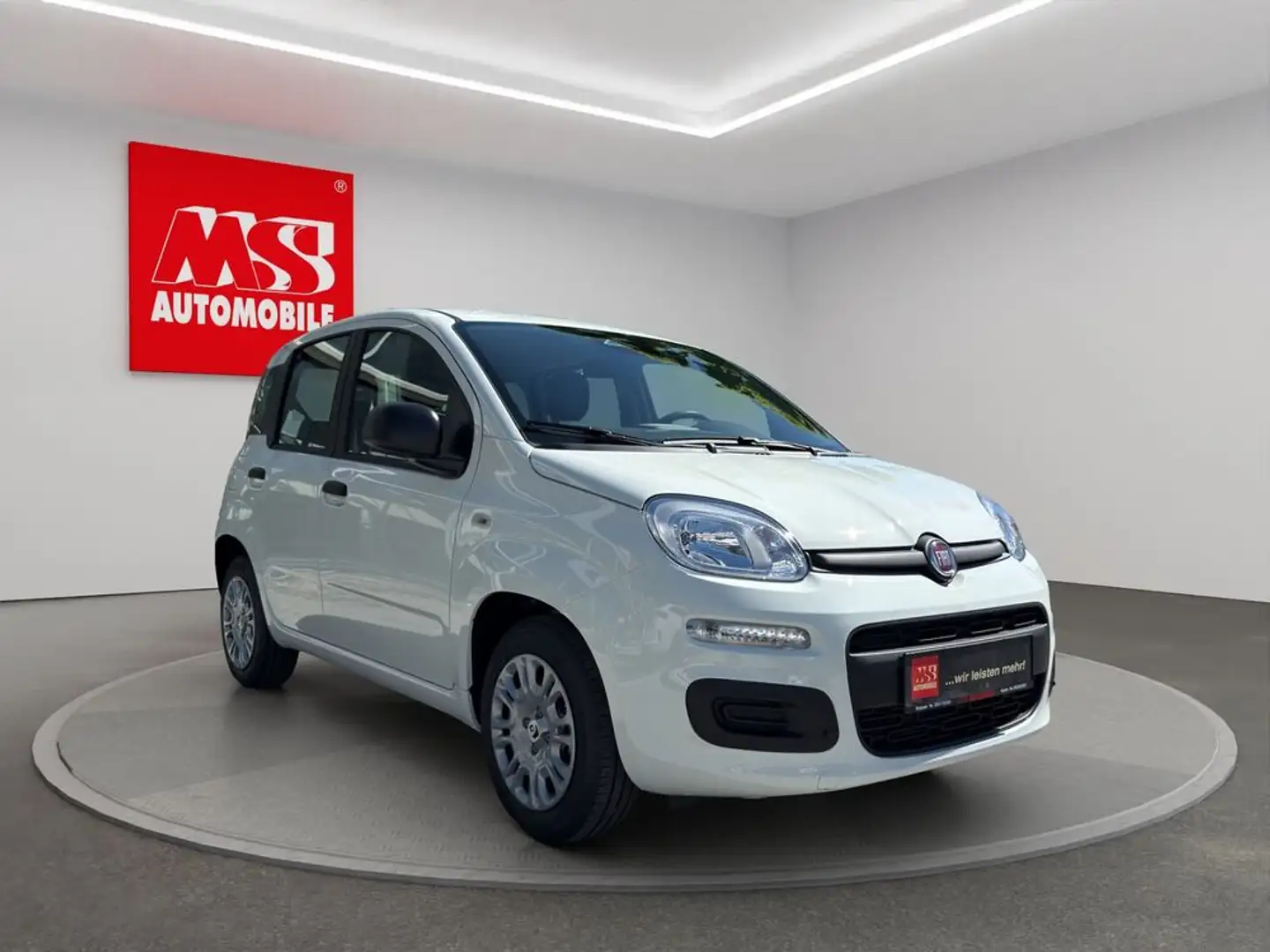 Fiat Panda Aktionsmodell Neuwagen !! Bianco - 1