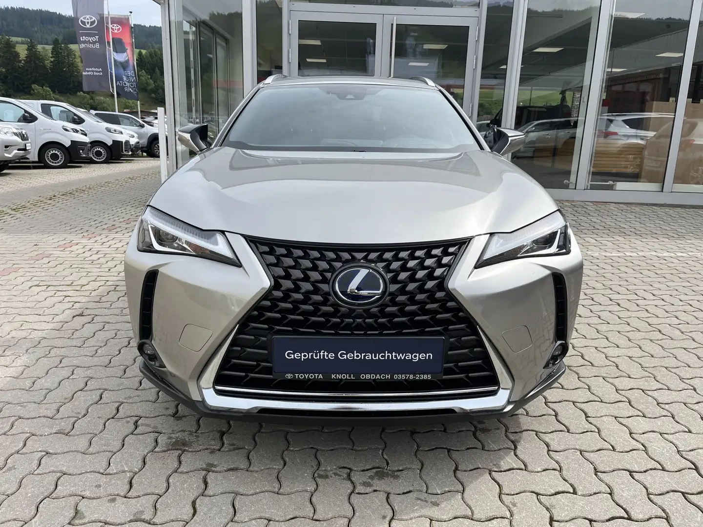Lexus UX 250h AWD Grau - 2