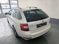 Skoda Octavia Octavia Combi 2.0 TDI DSG Clever Weiß - thumbnail 5