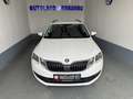 Skoda Octavia Octavia Combi 2.0 TDI DSG Clever Weiß - thumbnail 3
